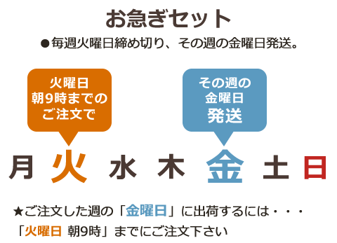 お急ぎセットスケジュール